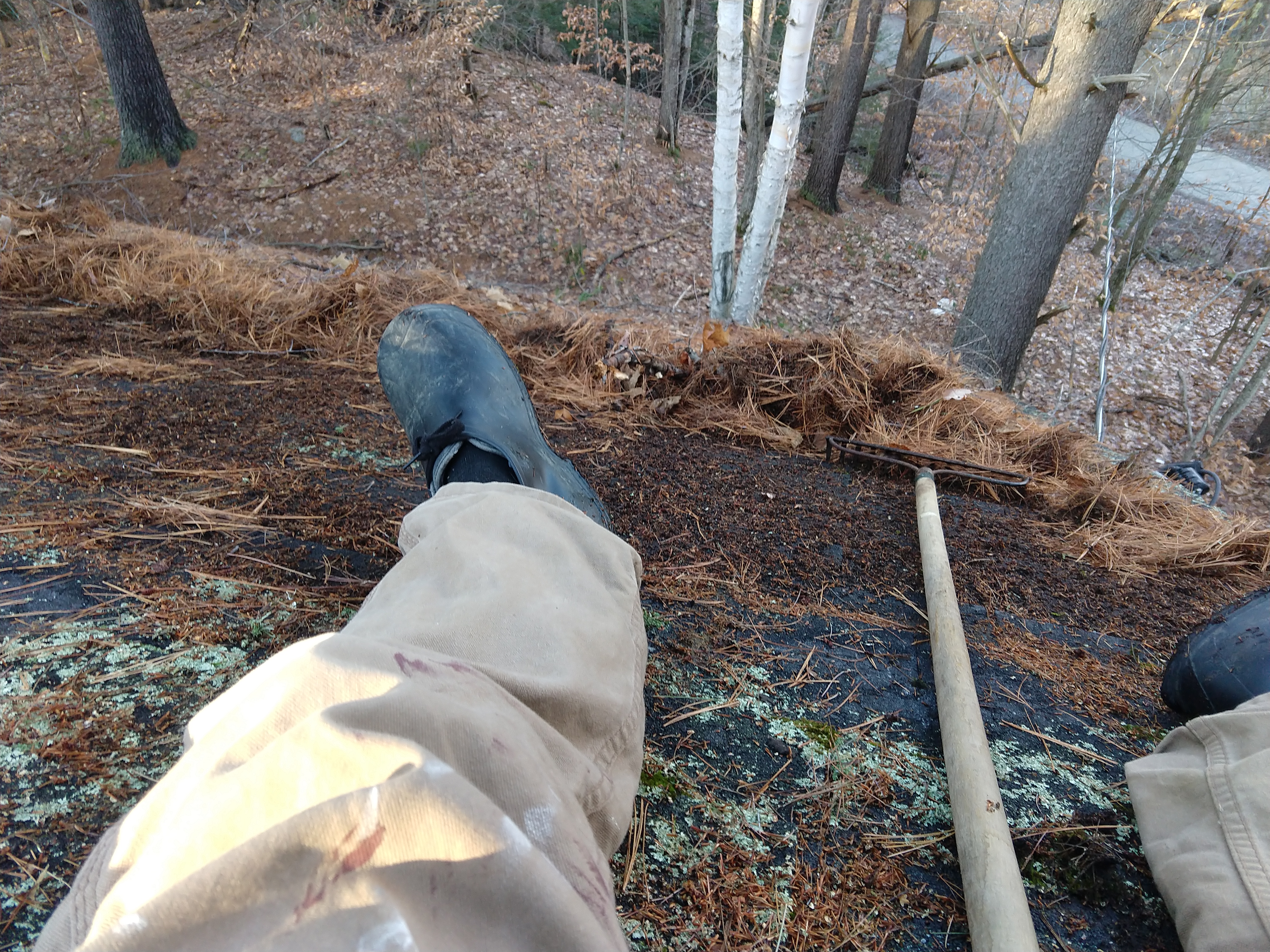 IMG_20191125_142031352_glgfgp