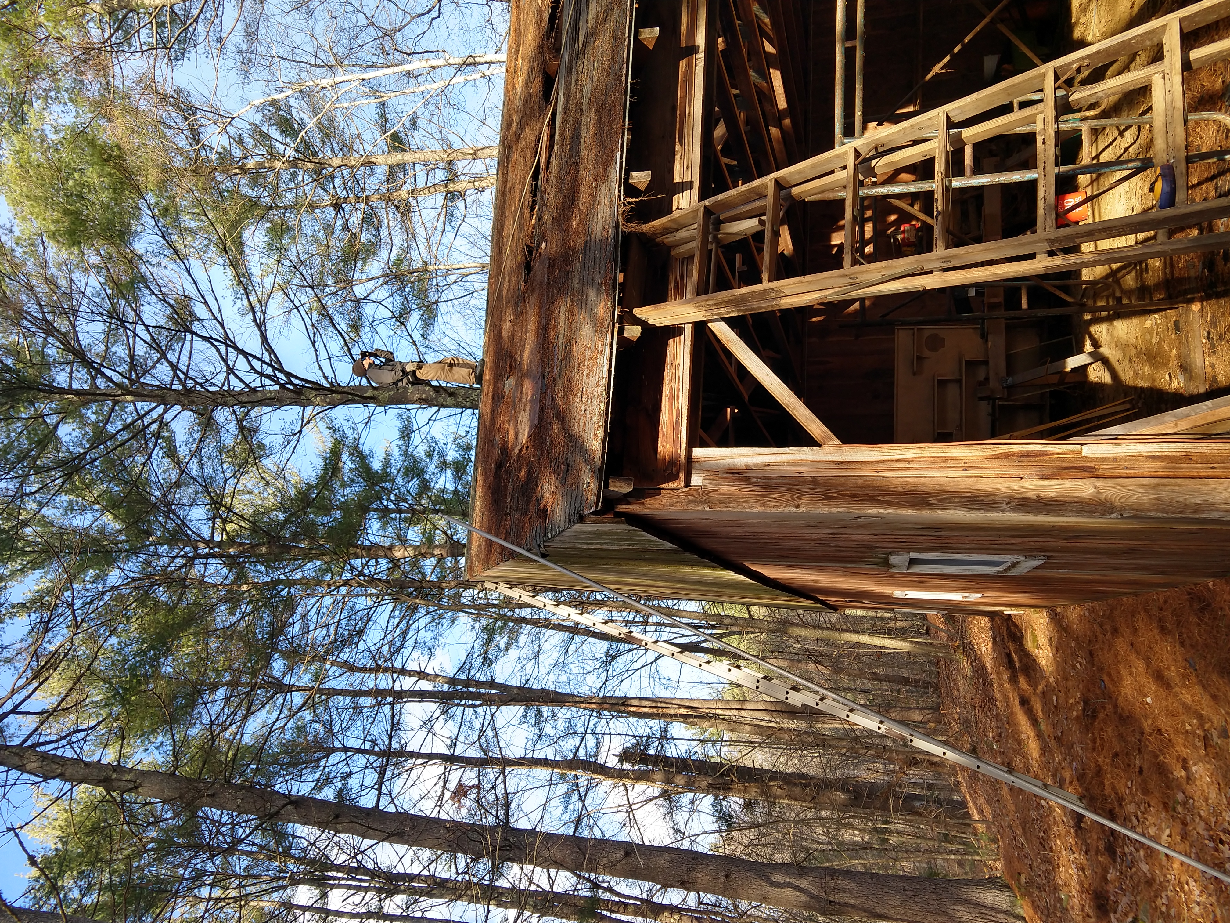 IMG_20191126_130717792_HDR_duvbzi