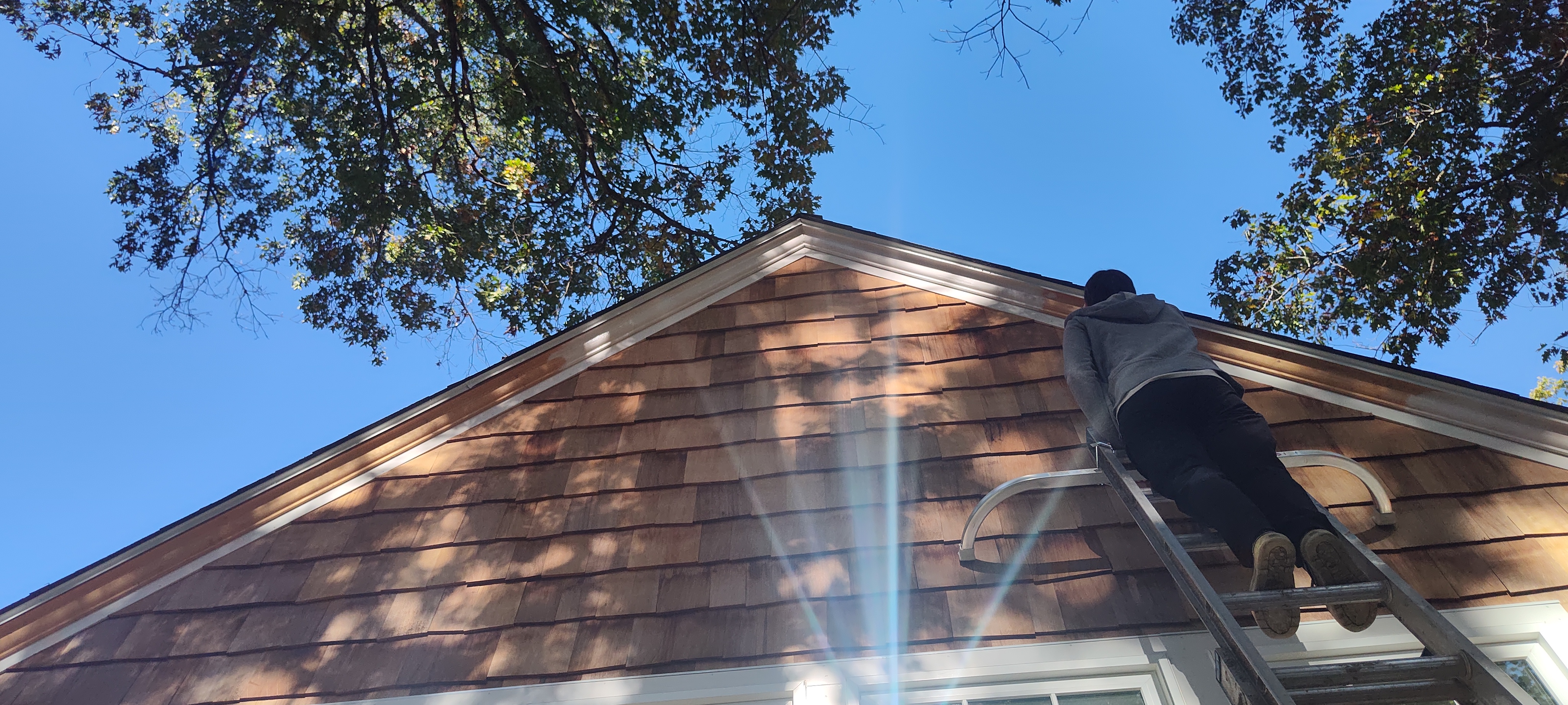 IMG_20241018_111413730_egexve