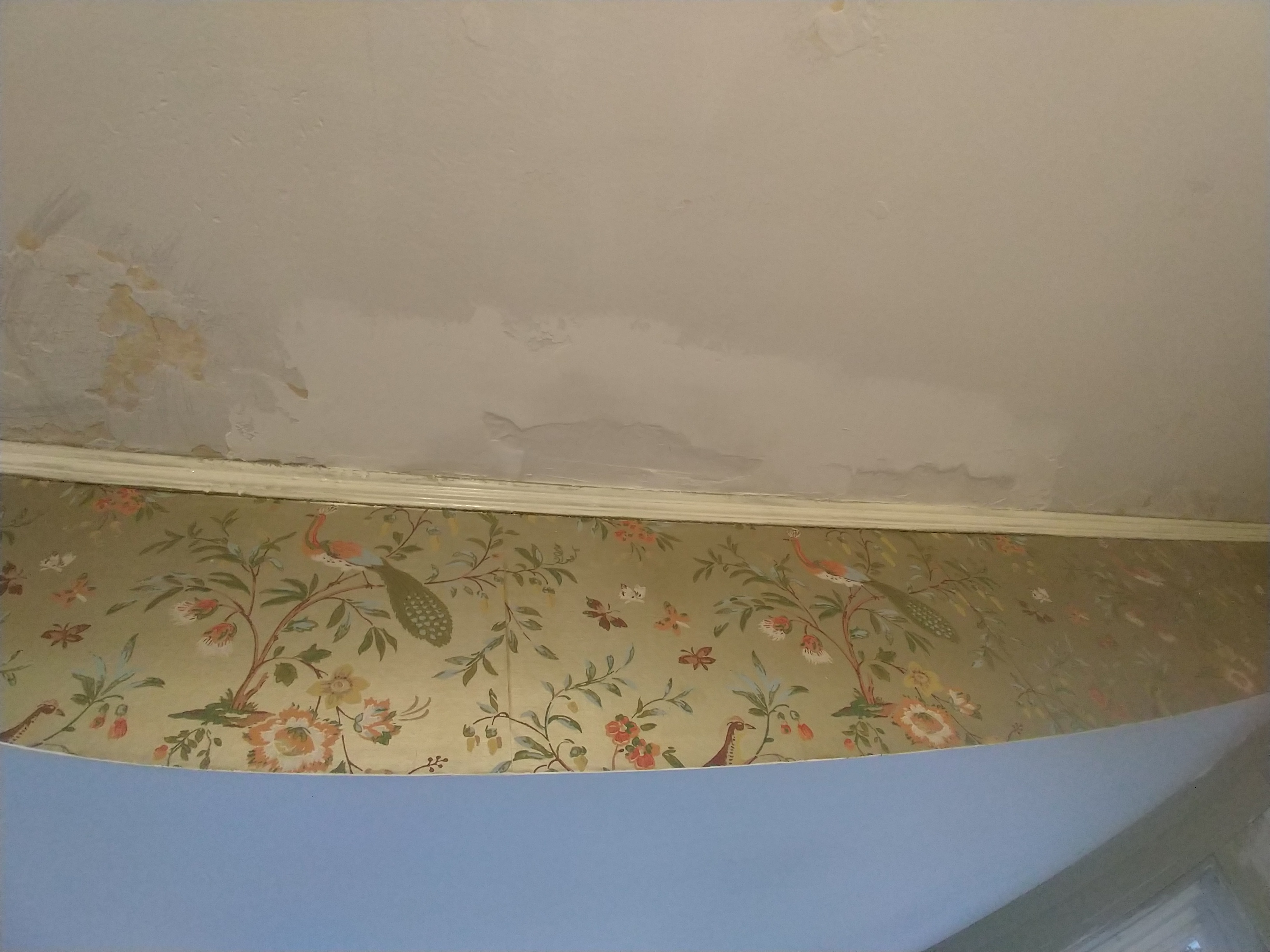 IMG_20200129_163902054